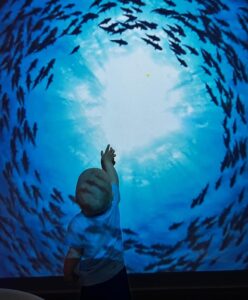 Cuando un niño encuentra un espacio acogedor, ordenado y adaptado a sus necesidades, se siente seguro para investigar, tomar iniciativas y expresar sus emociones.