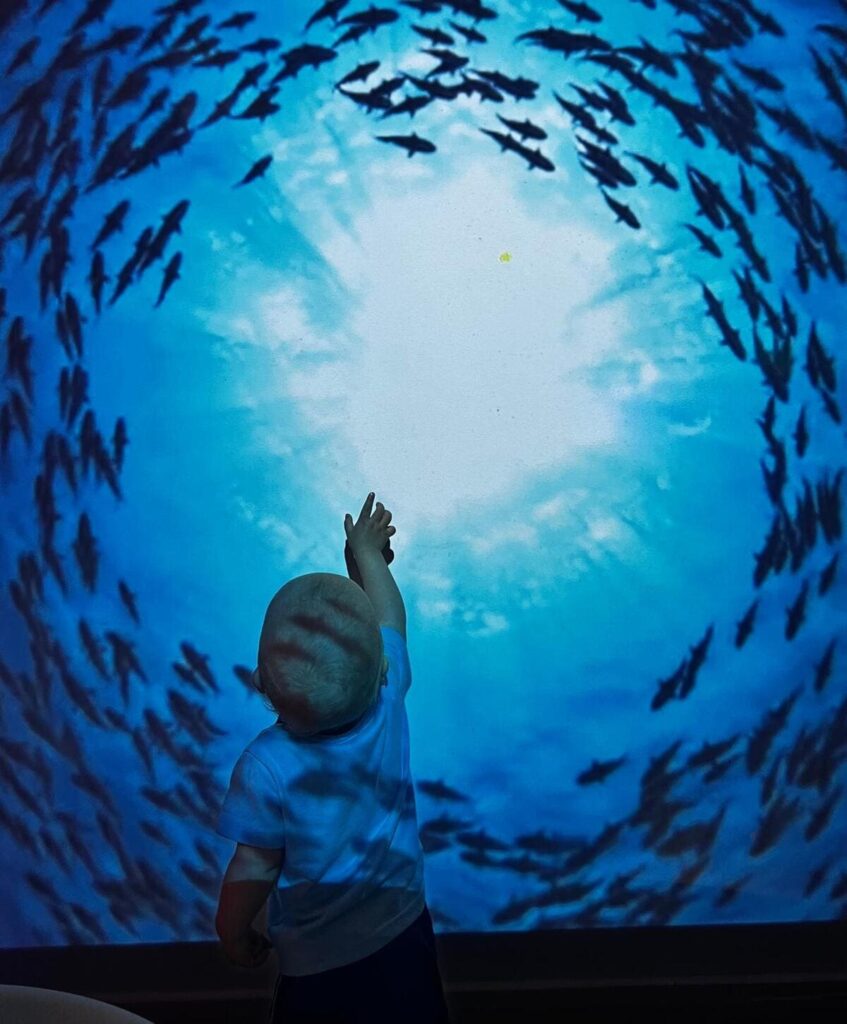 Cuando un niño encuentra un espacio acogedor, ordenado y adaptado a sus necesidades, se siente seguro para investigar, tomar iniciativas y expresar sus emociones.